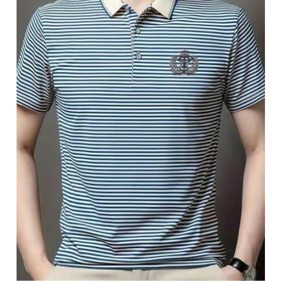 Men Regular Fit Polo T-shirt